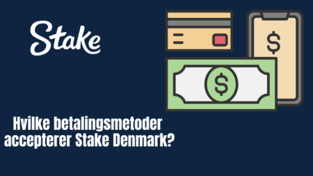 Hvilke betalingsmetoder accepterer Stake Denmark?